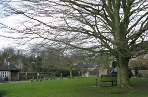 The Green looking towards the Pump Shed (Bus Shelter)