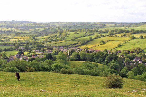 Summer View Over Parwich